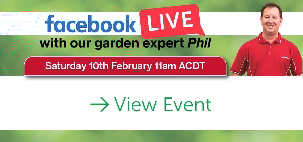 February Garden Live 24.jpg